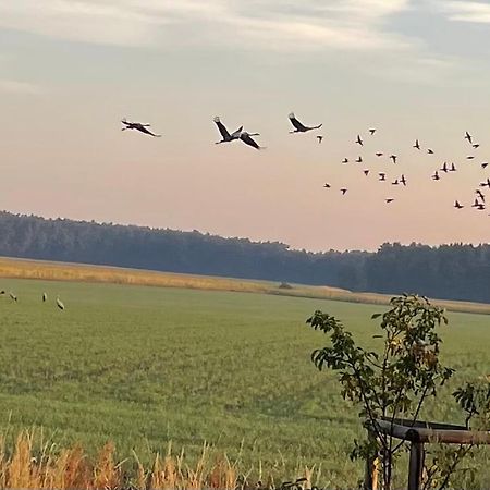 Ferienhaus Naturblick Villa Drahnsdorf Kültér fotó