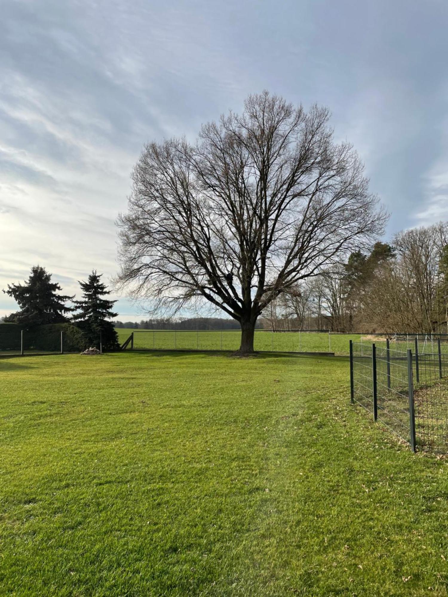 Ferienhaus Naturblick Villa Drahnsdorf Kültér fotó