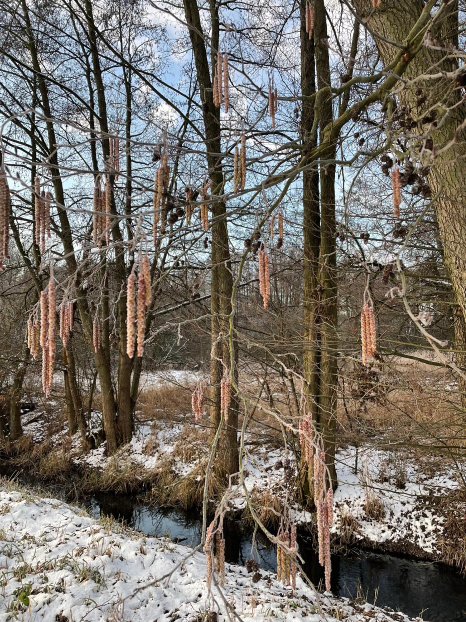 Ferienhaus Naturblick Villa Drahnsdorf Kültér fotó